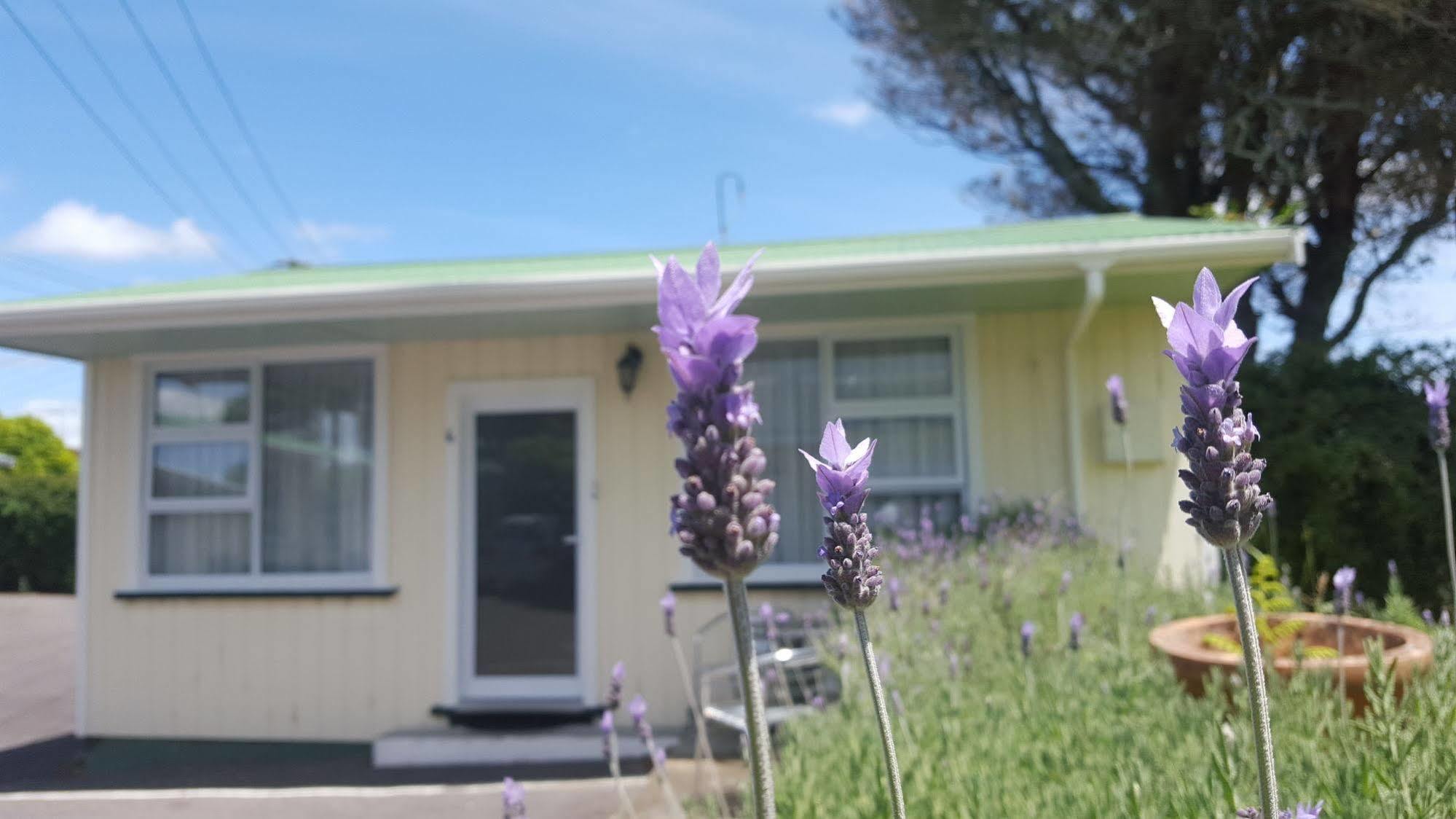Timandra Motel New Plymouth Eksteriør bilde